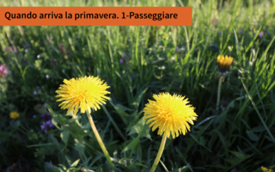 QUANDO ARRIVA LA PRIMAVERA. 1-PASSEGGIARE